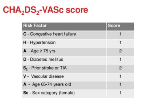 This Procedure Is Now FirstLine AFib Therapy New ACC Guidelines